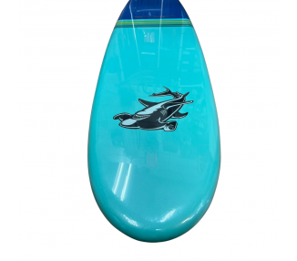 TABLA SURFBOARD FISH BOTTON 5´10" - SURTIDO