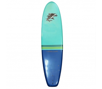 TABLA SURFBOARD FISH BOTTON 5´10" - SURTIDO